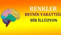 Renkler Beynin Oluşturduğu Bir İllüzyon!