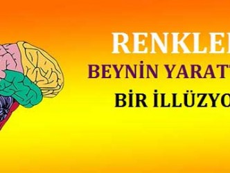 Renkler Beynin Oluşturduğu Bir İllüzyon!