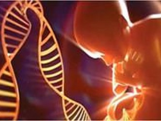 DNA  Analizi  İle Sağlıklı Bebek