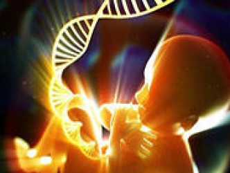 Zehirli Kimyasalların Fetal Gelişim Üzerindeki Etkileri