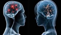 İnsan beyninin gizemli 10 özelliği
